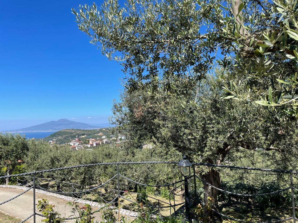 Loren House, Relaxing Location With Seaview Massa Lubrense Exterior foto