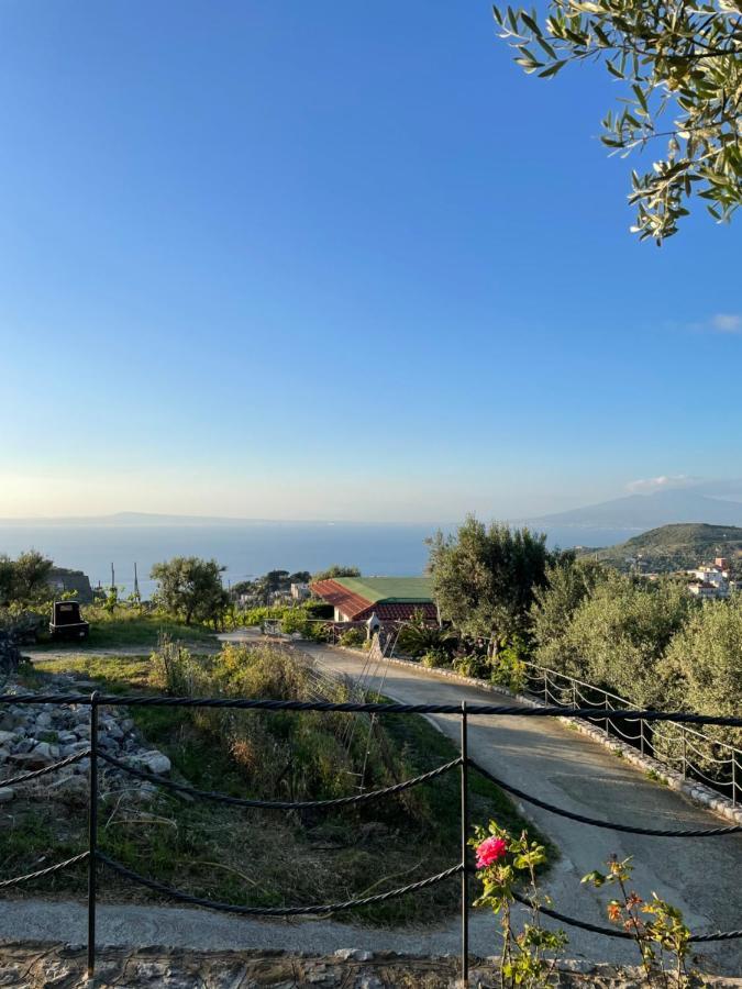 Loren House, Relaxing Location With Seaview Massa Lubrense Exterior foto
